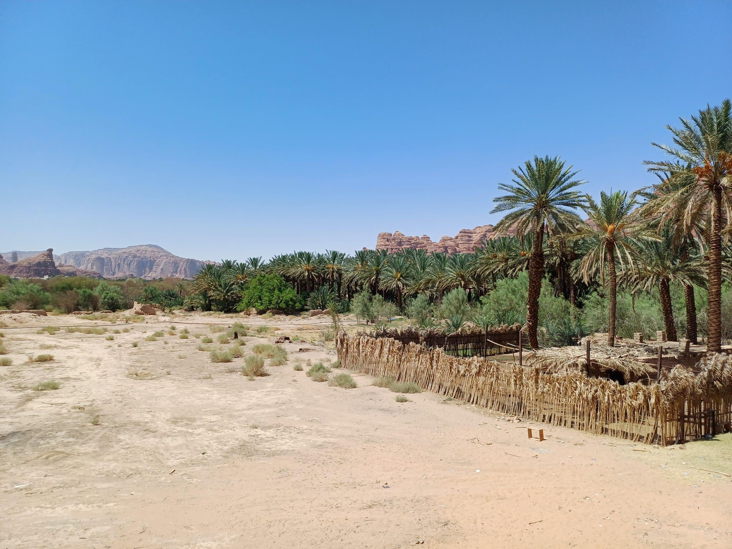 العين بن فاضي