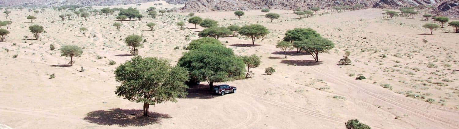 جبل أم درج
