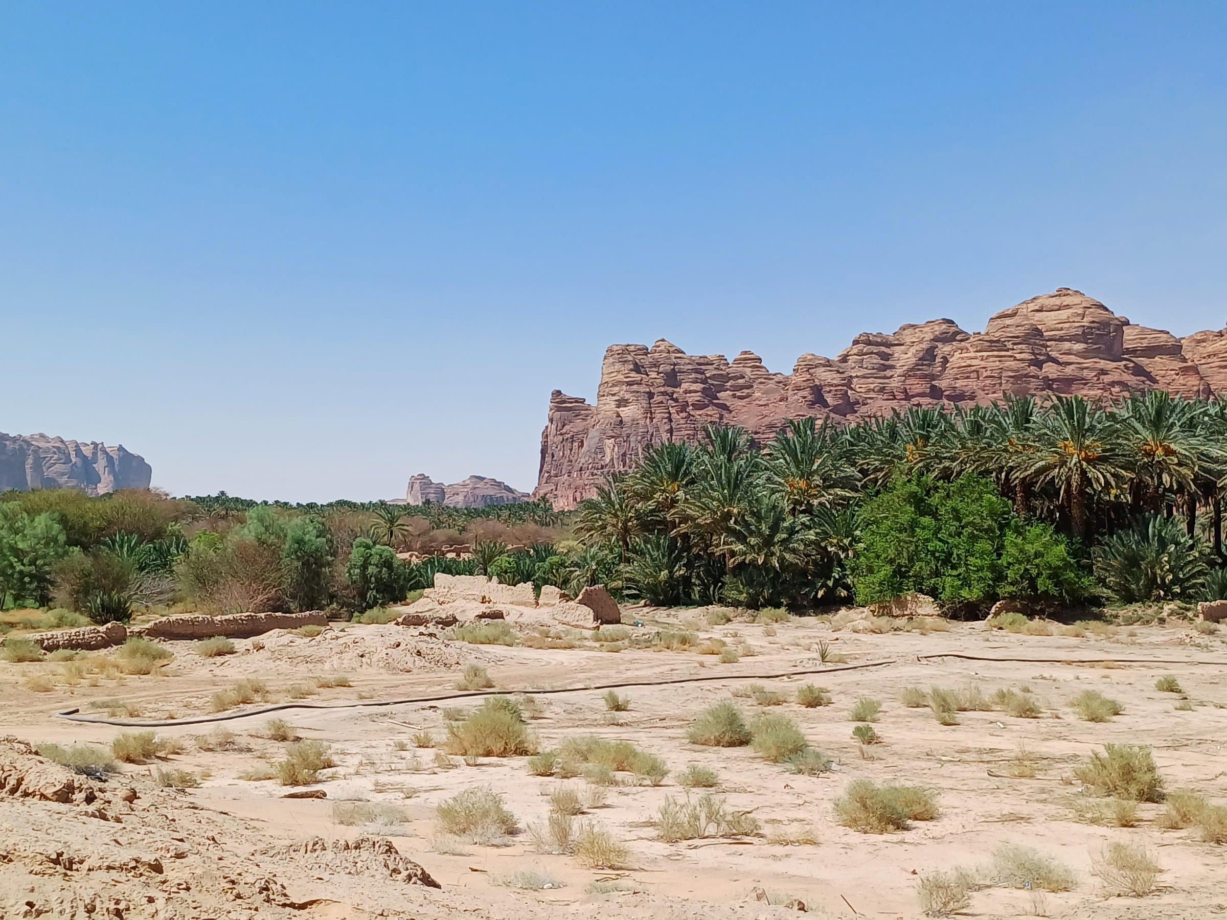 السور الداخلي (تيماء)