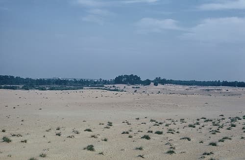 رابغ