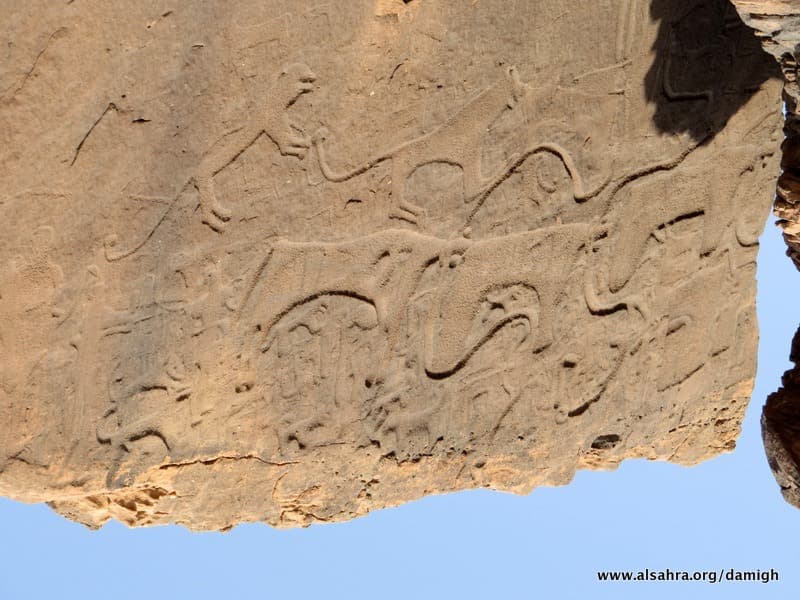 نقوش حيوانية على صخور موقع راطا والمنجور (تصوير فريق الصحراء)