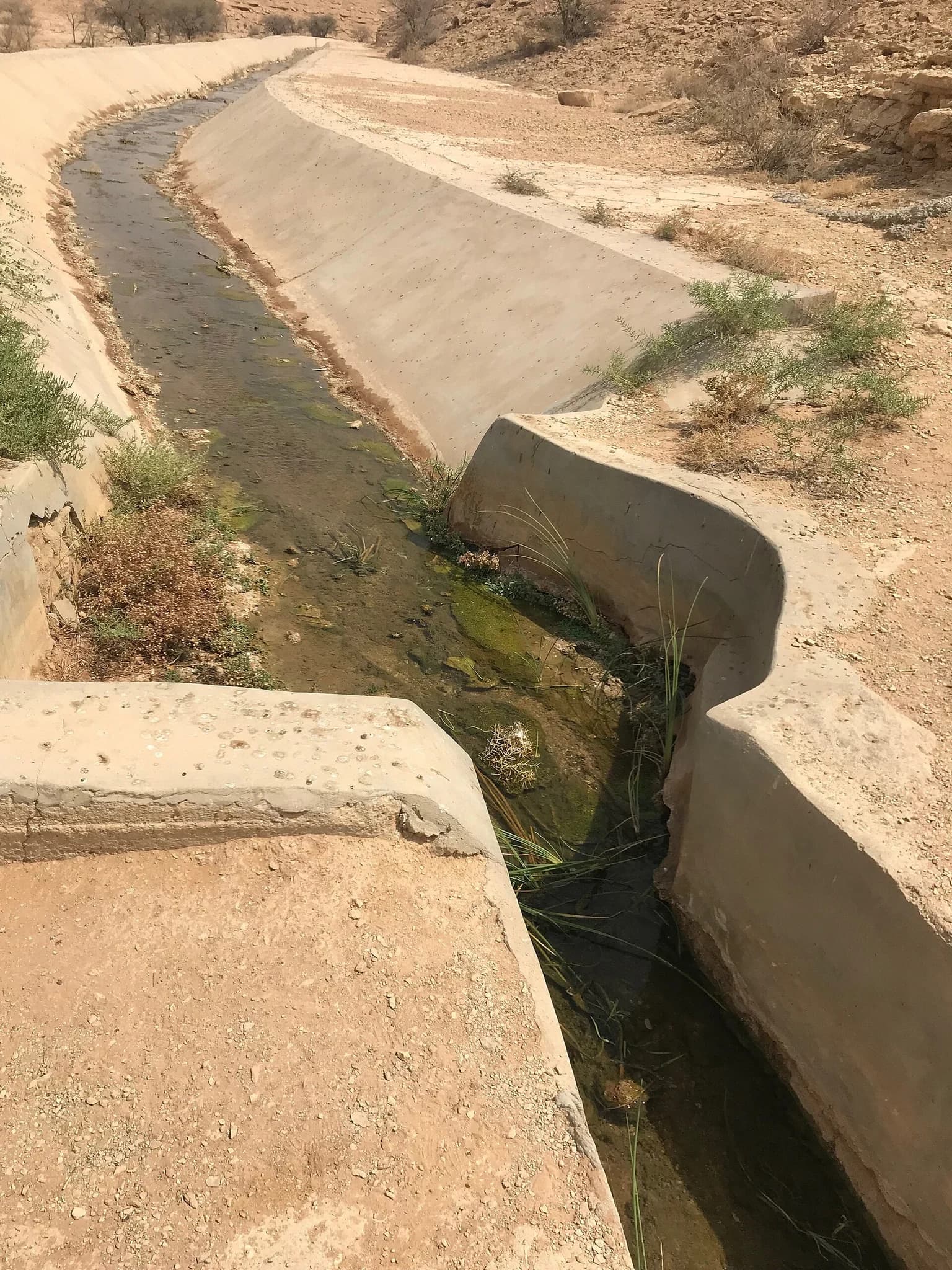 عين العيينة اليوم — منشأة على المورد الذي منه الاسم، لا عين القرن الثاني عشر بحجارتها