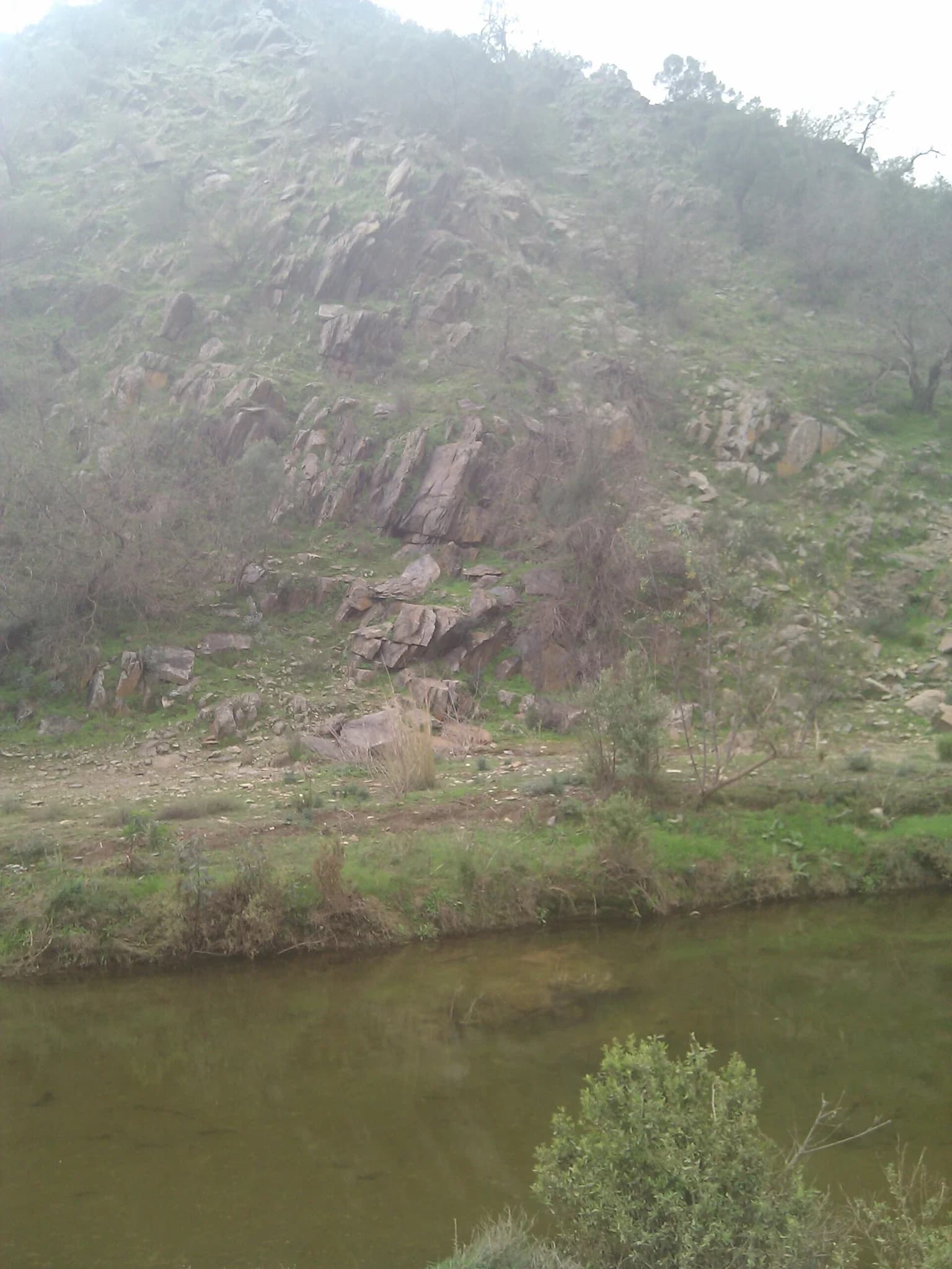 تُربة