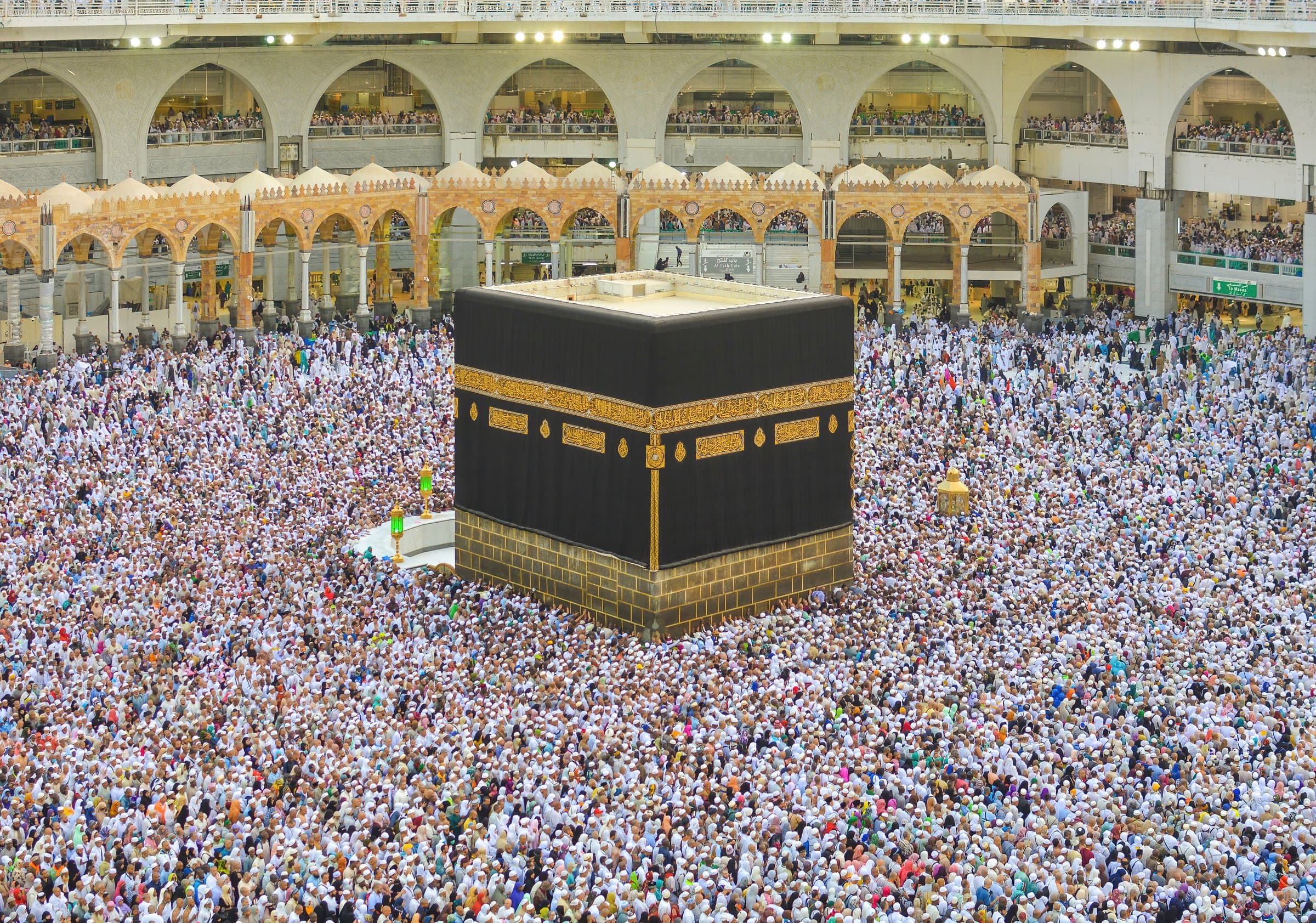 ابن بطُّوطة
